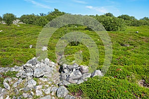 Ancient stone labyrinth