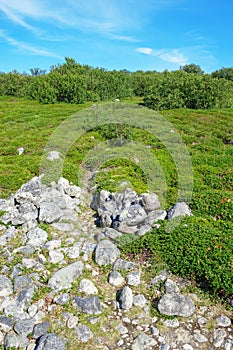 Ancient stone labyrinth