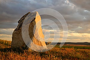 Ancient stone menhir on meadow.