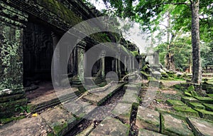 Ancient stone ruins of Ta Prohm temple, Angkor, Cambodia.