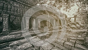 Ancient stone ruins of Ta Prohm temple, Angkor, Cambodia.