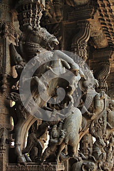 Ancient stone sculpture in the Brihadeeswarar Temple in Thanjavur