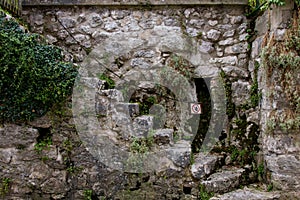 Ancient stone staircase masonry wall plants sign