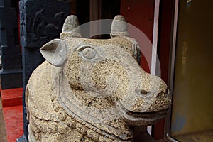 Ancient stone statue of a cow. South India