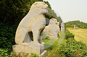 Ancient Stone Statues - Song Dynasty Tombs, Gongyi, Luoyang, China