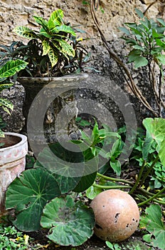 Ancient stone vase with green plants in a garden with decoration