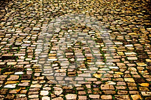 Ancient Stone Walking Path