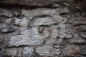 Ancient Stone Wall Close-Up