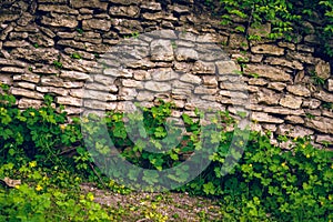 Ancient stone wall and flowers under it