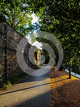 Ancient stone wall in the german park