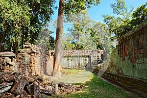 Ancient stone walls in the Cambodian forest, the ruins of the Ta Prohm temple