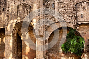 Ancient stonework and arches of an old historic building in the Gothic District of Barcelona