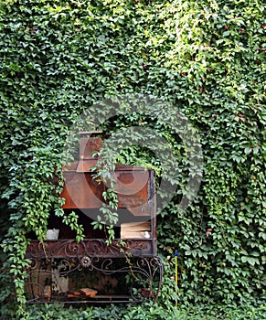 An ancient stove steeped in greenery