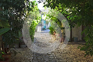 Ancient Street with flowers