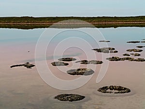 Ancient Stromatolites