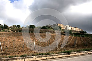 Ancient stronghold farm. Vineyards cultivation. Fields & Trees photo