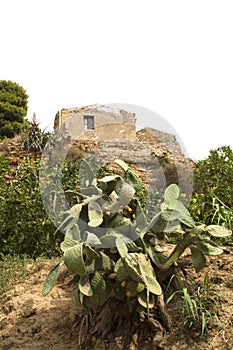 Ancient structures in the gardens of Valley of Temples, Agrigento, Sicily, Italy