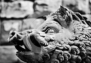 Ancient style sculpture of Wild boar in Florence, Italy.