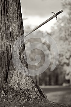 Ancient Sword will thrust in a tree