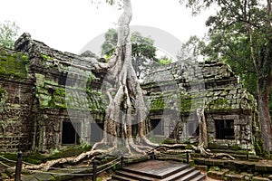 Ancient Ta Prohm Temple
