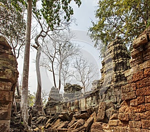 Ancient Ta Prohm temple, Angkor Thom, Siem Reap, Cambodia.