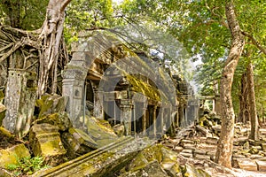 Ancient Ta Prohm temple ruins lost in cambodian forest, Angkor Vat, Siem Reap, Cambodia photo