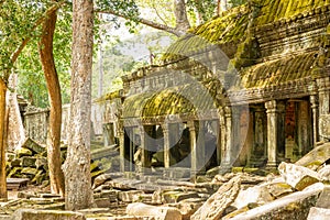 Ancient Ta Prohm temple ruins lost in cambodian forest, Angkor Vat, Siem Reap, Cambodia photo
