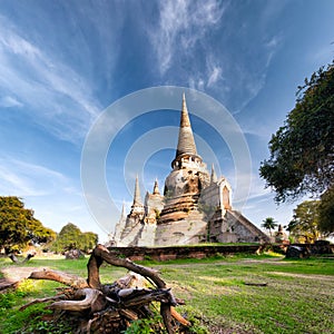 Ancient temple in Ayutthaya Thailand, wat phra si saphet