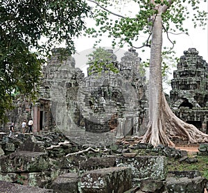 Ancient temple complex, big tree overgrow the old Stones and some tourists Walking in the building photo