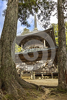 ancient temple in the Danjo Garan complex