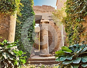 ancient temple ruins