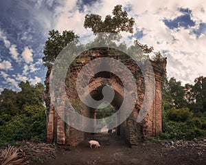 Ancient Temple Ruins in Inwa, Myanmar