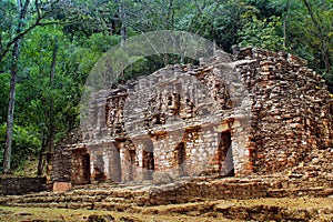 Ancient temple ruins in the jungle of southern Mexico