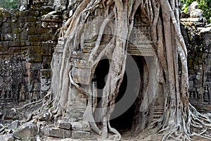 Ancient temple view near Angkor Wat, Siem Reap, Cambodia. Tree roots around temple ruin.
