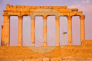 Ancient templefield of Palmyra