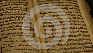 Ancient Text on Parchment