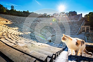 The ancient theater of Epidaurus or `Epidavros`, Argolida prefecture, Greece.