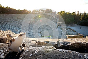 The ancient theater of Epidaurus or `Epidavros`, Argolida prefecture, Peloponnese.