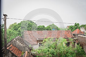 Ancient tile roof house and concrete pylons in heavy raining and windy at remote village in the North Vietnam