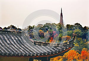 Ancient Tiled Roof Baochu Pagoda West Lake Hangzhou Zhejiang China