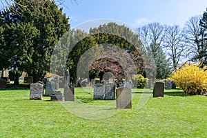 Ancient tombstones photo