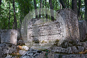 Ancient tombstones in the woods photo