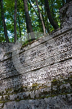 Ancient tombstones in the woods photo