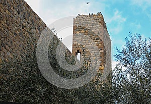 Ancient Tower of City Walls in Monteriggioni Town near Siena City in ITALY