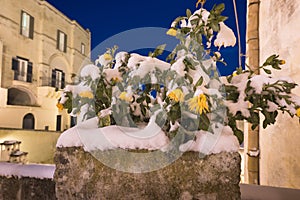 Ancient town of Matera Sassi di Matera at wintertime