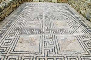 Ancient town Volubilis floor mosaic