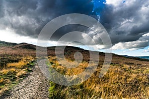 Ancient track, Ilkley moor. Yorkshire