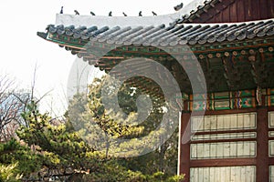 Architecture of South Korea.
