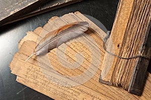 Ancient Treatise with bird feather photo