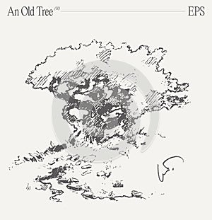 An ancient tree on a blank canvas. Hand drawn vector illustration, sketch.